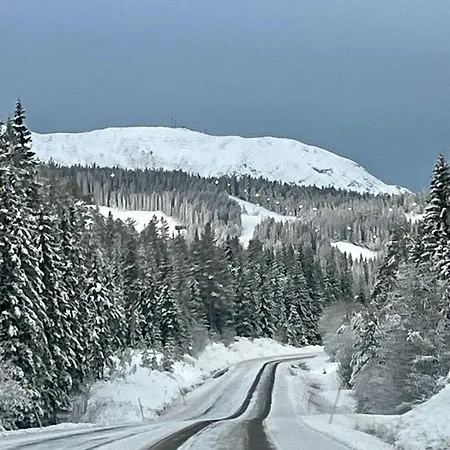 Modern Mountain In And Out Apartamento *