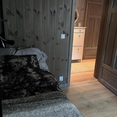 Apartment Modern Mountain In And Out Trysil