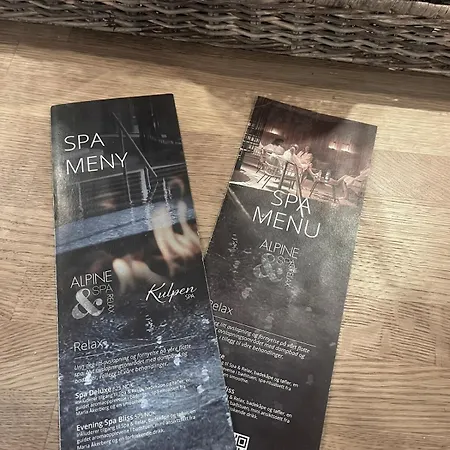 Modern Mountain In And Out Trysil