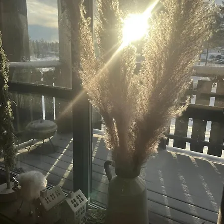 Modern Mountain In And Out * トリシル