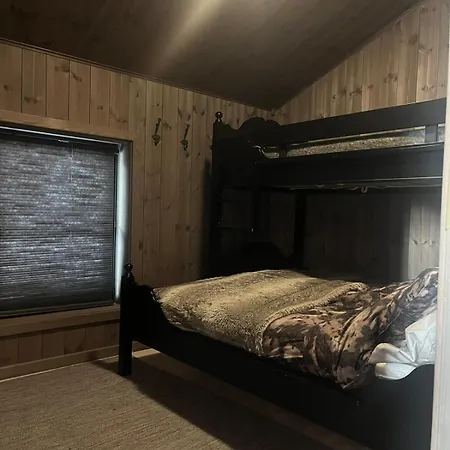 Modern Mountain In And Out アパート トリシル